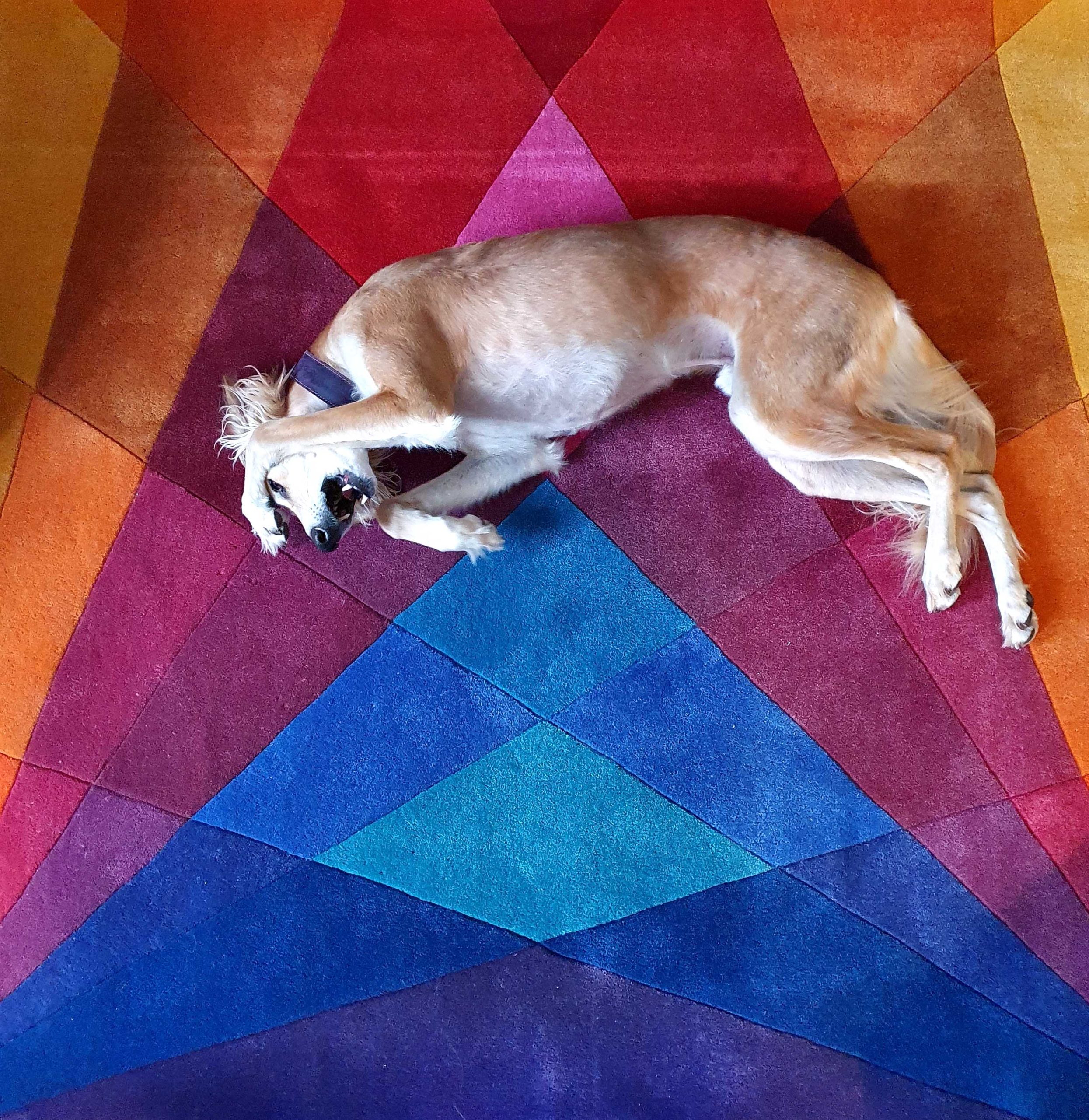 Pet Friendly Rugs - Rainbow Rug