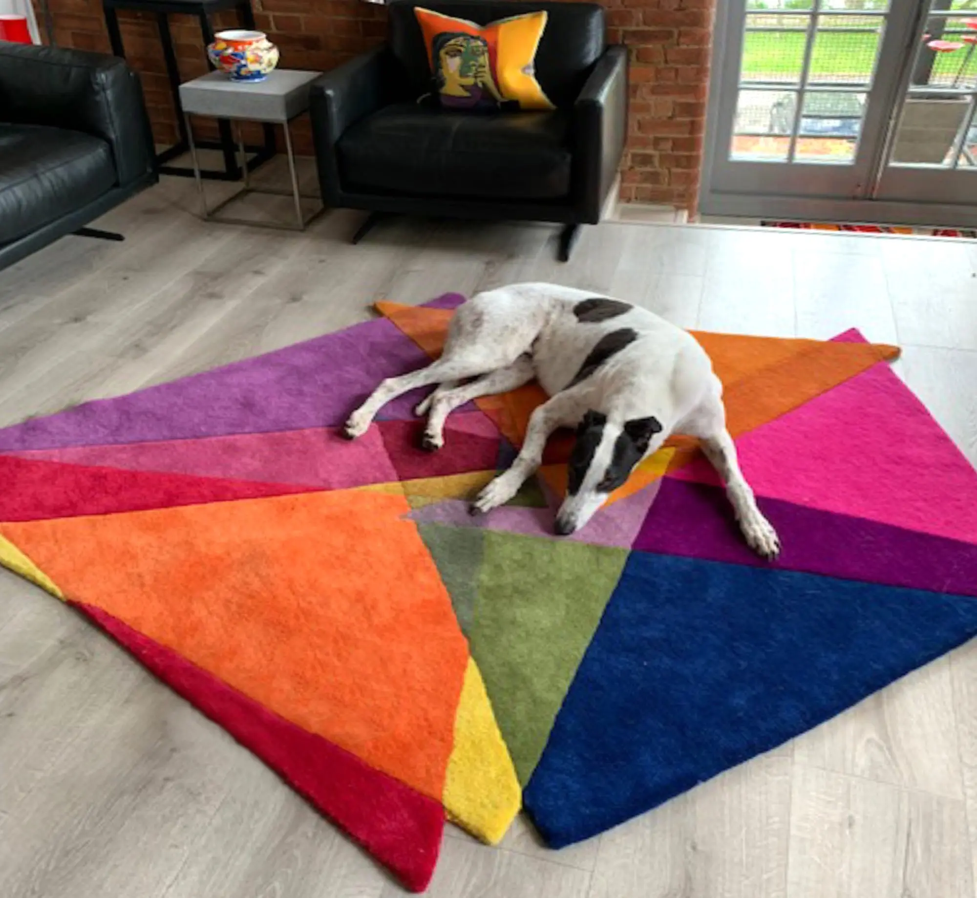 Pet Friendly Rugs - How to clean an expensive rug