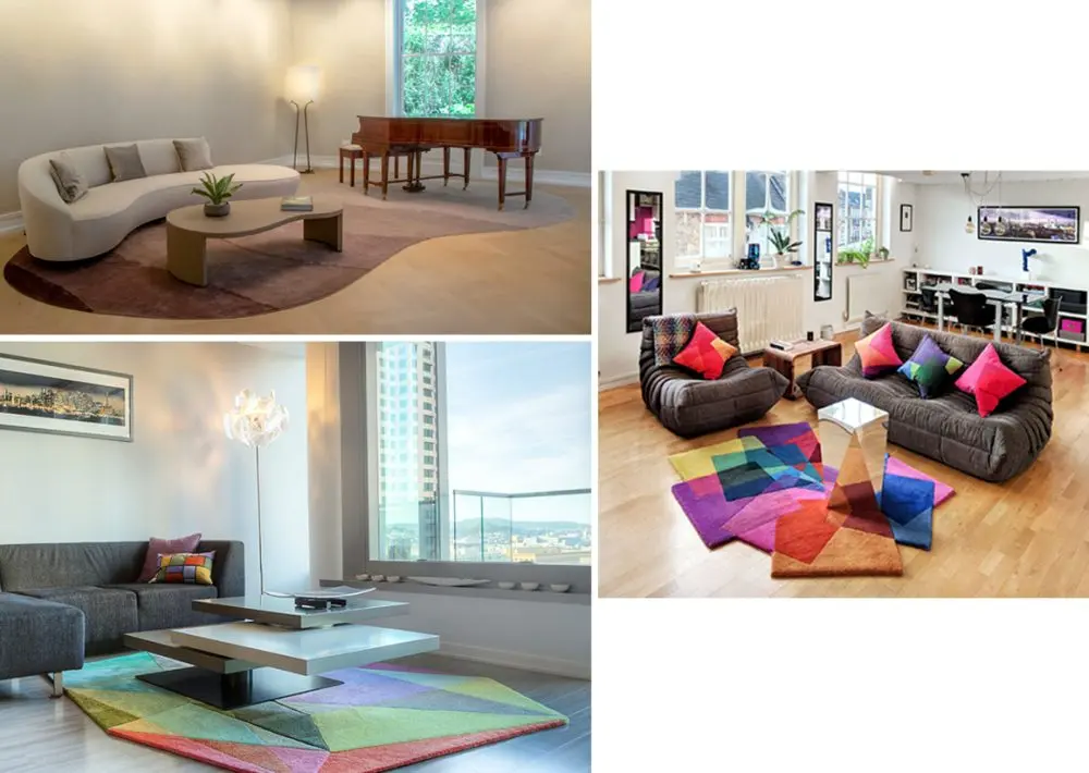 Modern Designer Rugs - Sonya Winner Studio