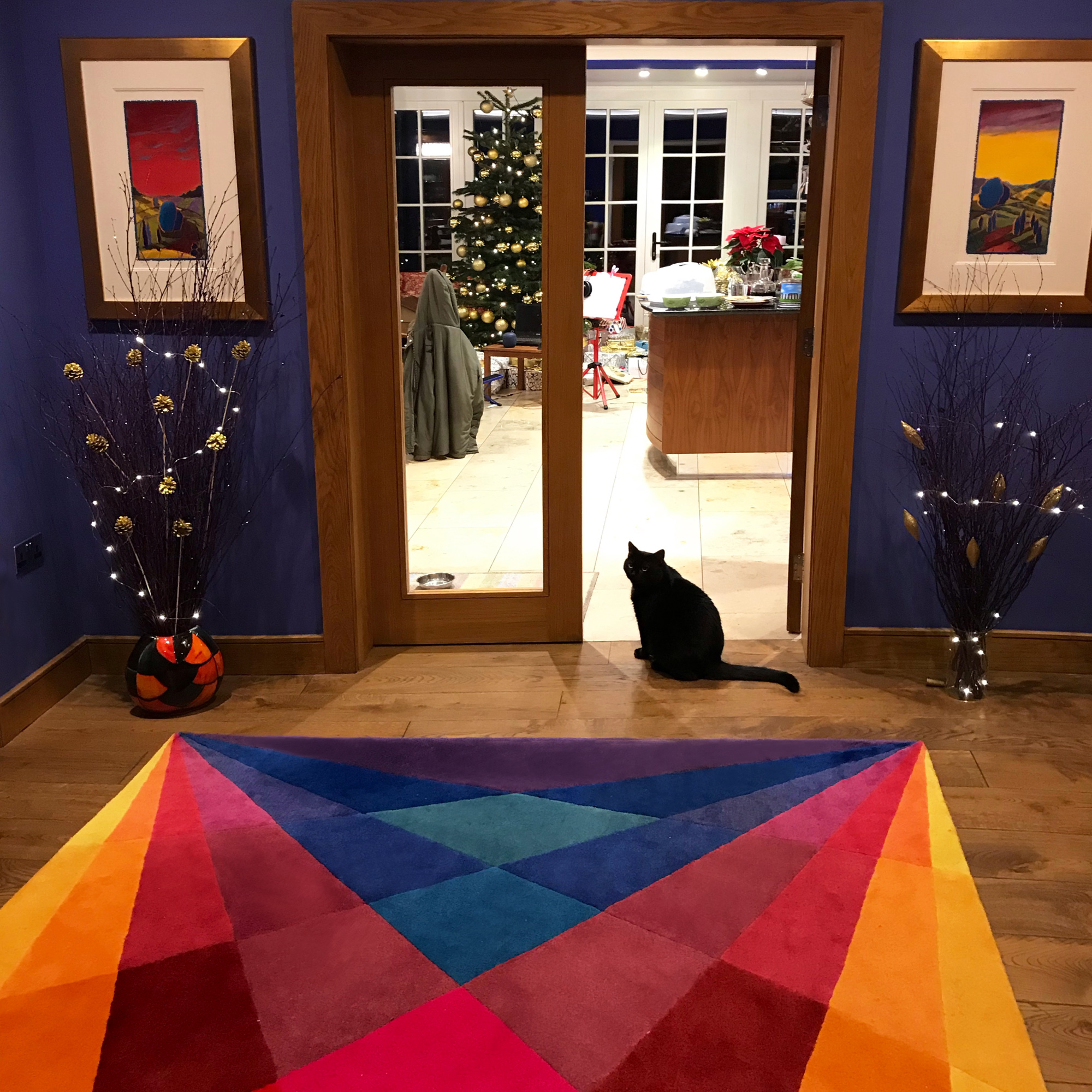 Modern Colourful Rug for Hallway