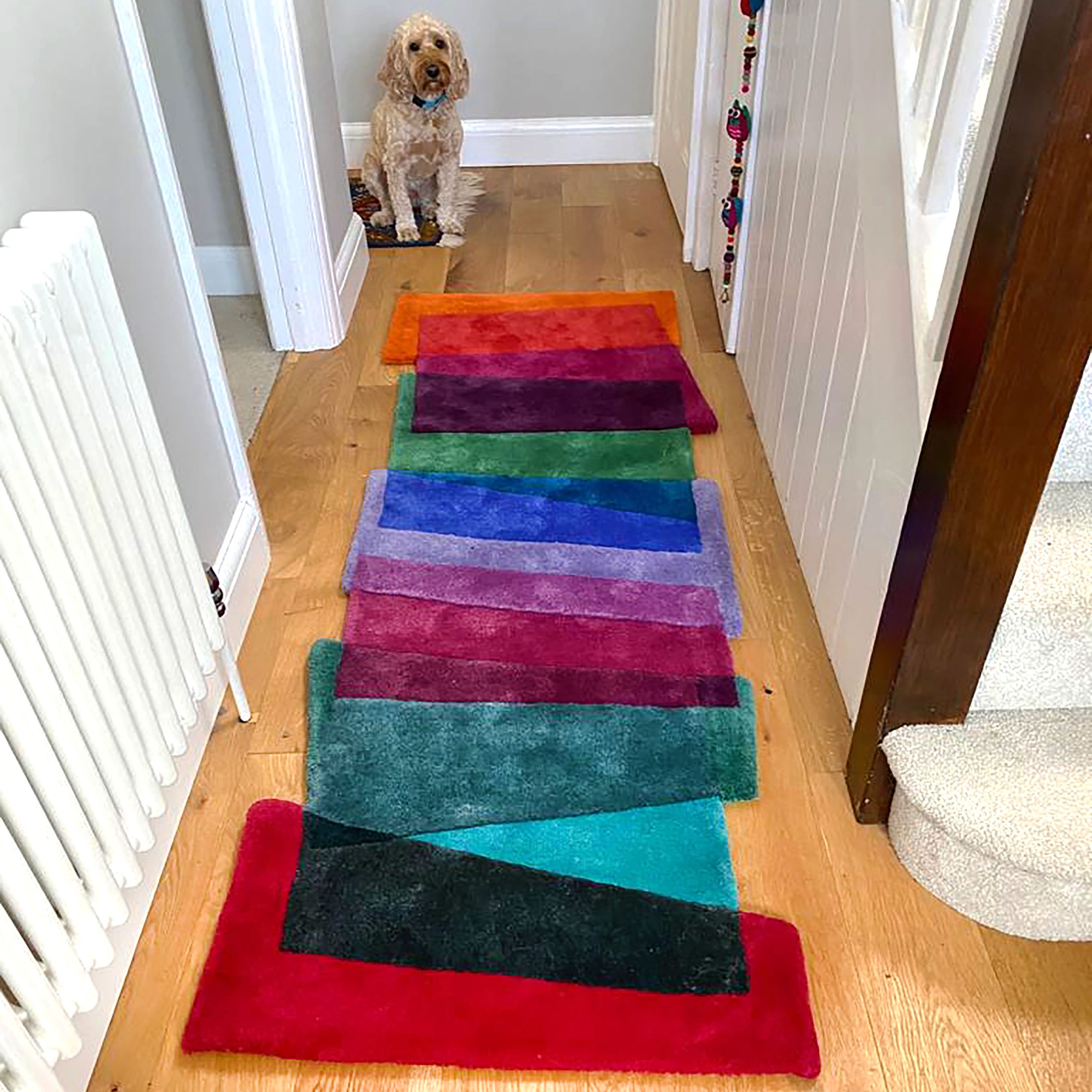 Designer Runner Rug for Hallway