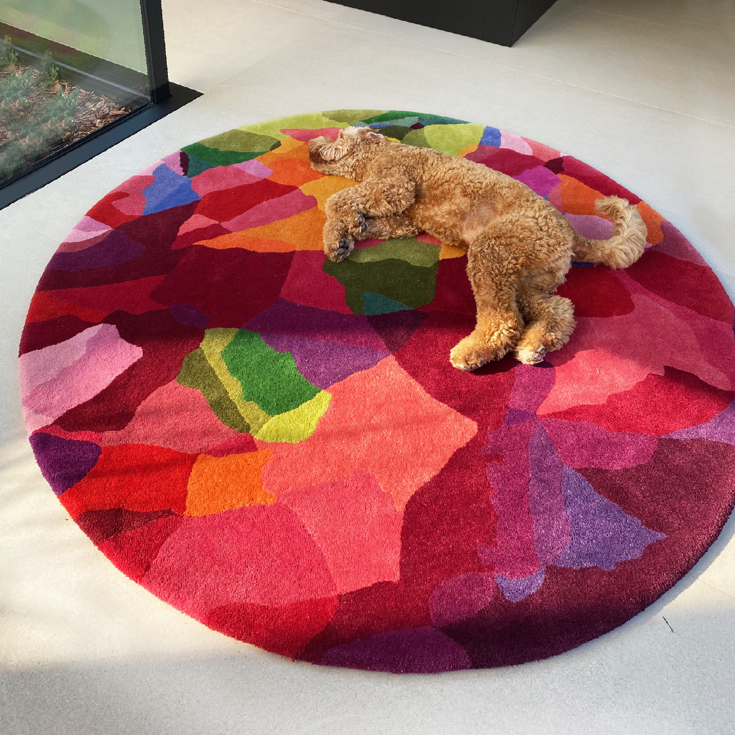 Pet Friendly Designer Rugs