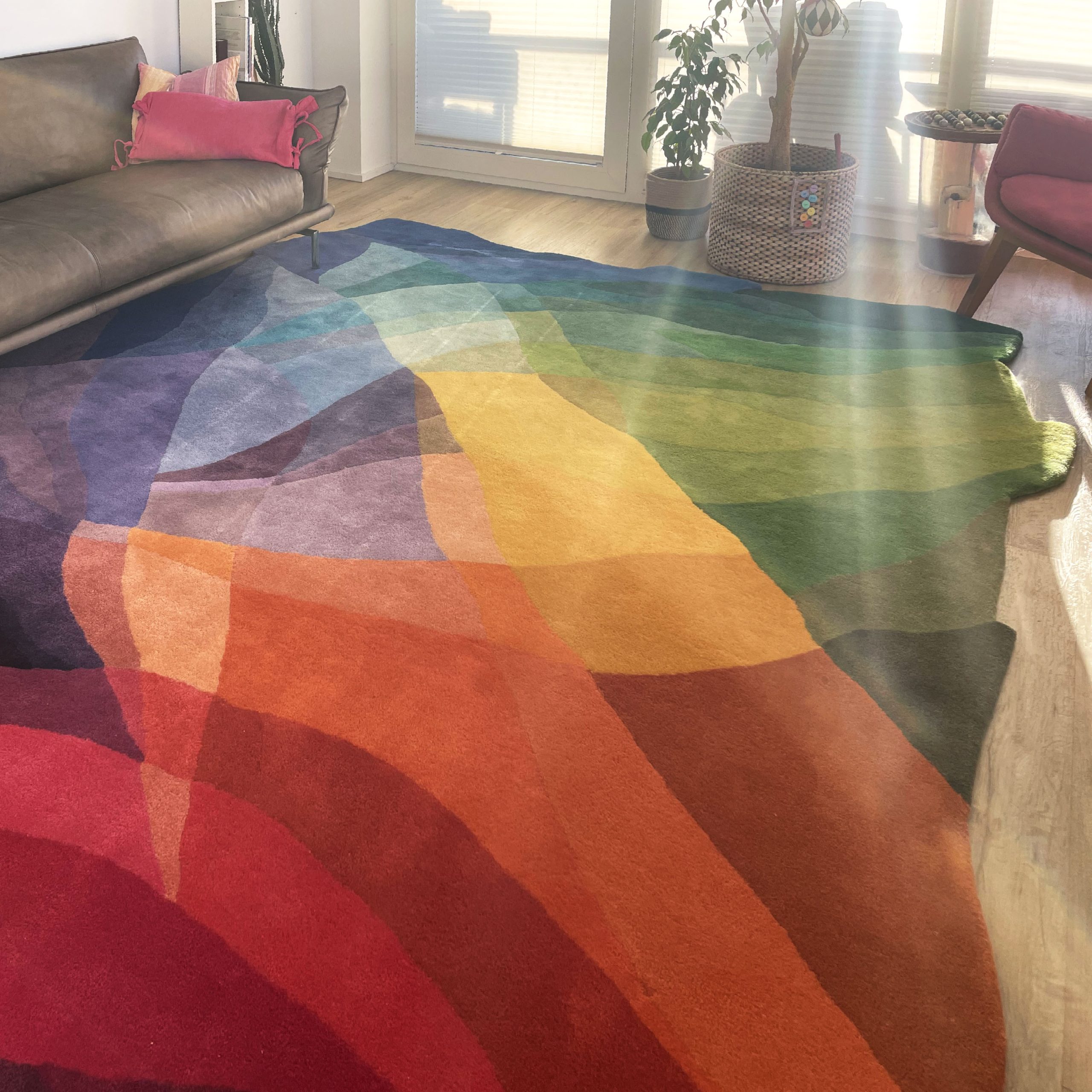 Colour Canyon Rug X Large