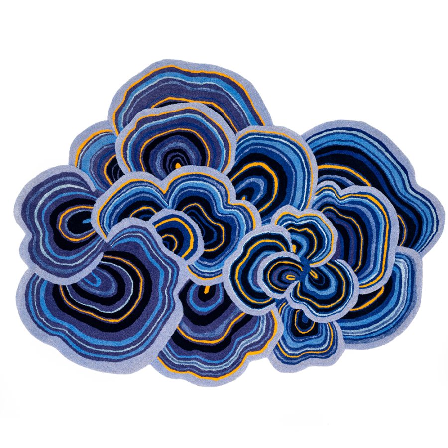 Lichen Collection - Sonya Winner Vibrant Contemporary Rugs