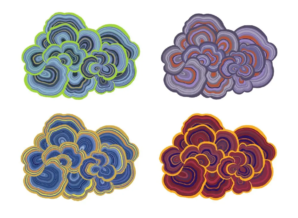 Alternative Lichen colourways 