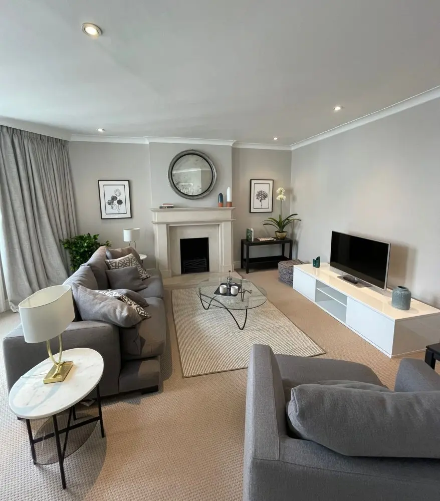 Free Modern Rug Visualisation client photo