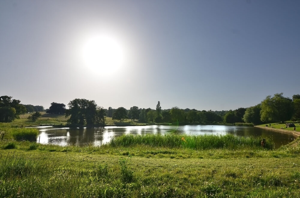 Hampstead heath ponds