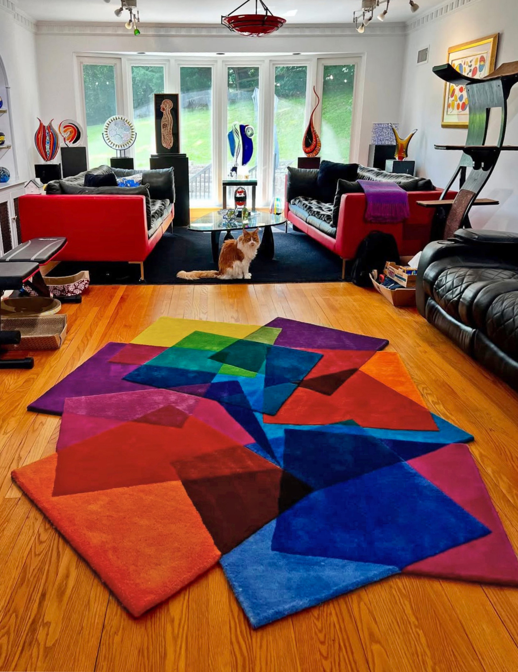 After Matisse Rug Client Image