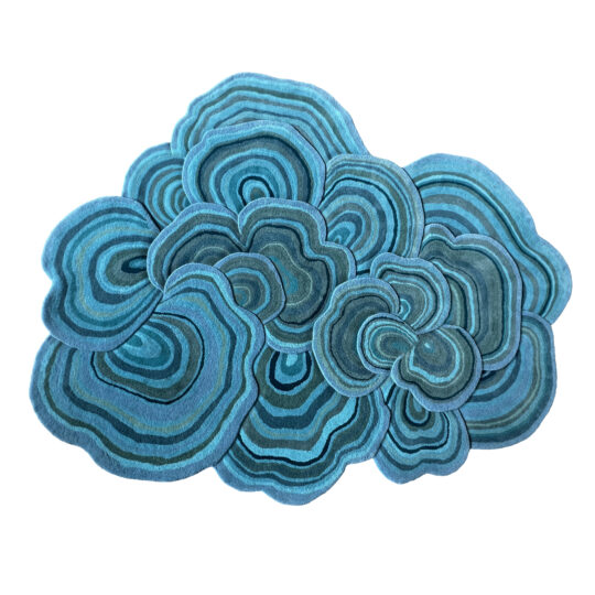 Lichen Teal Rug