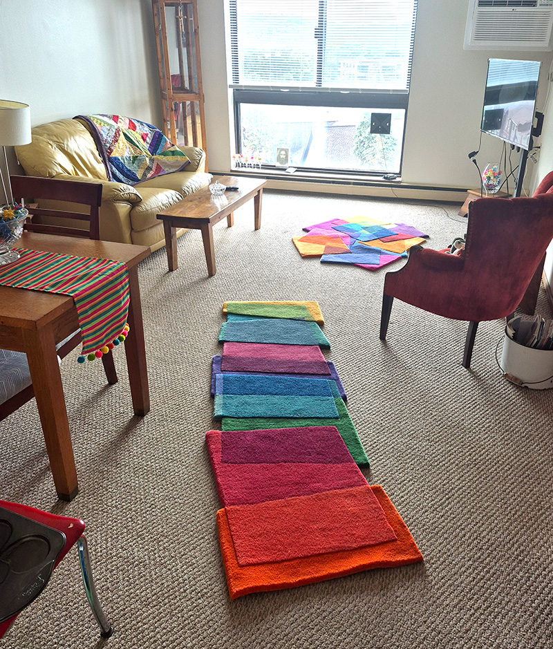 Magic Stepping Stones Runner in living room